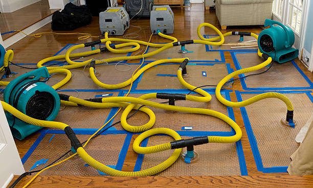 Professional Water Damage Restoration technician working in Neffs, OH